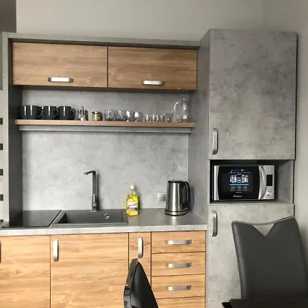 Loft в центрі львова Lejlighed Lviv