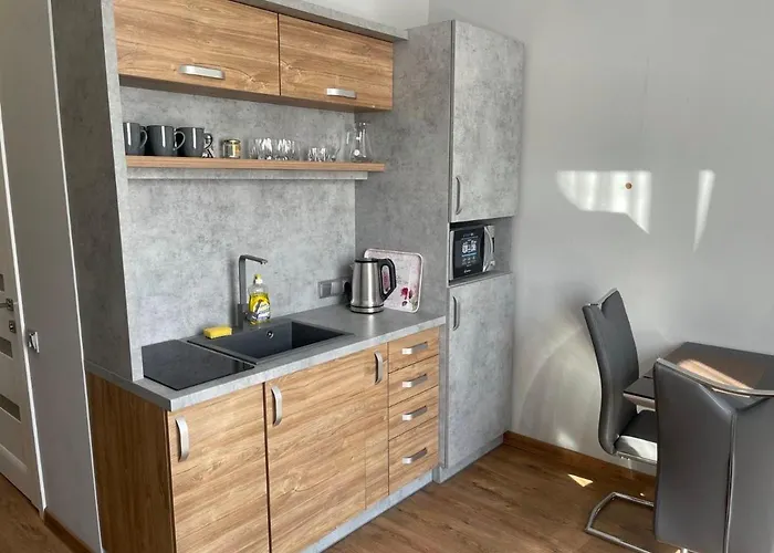 Loft в центрі львова *