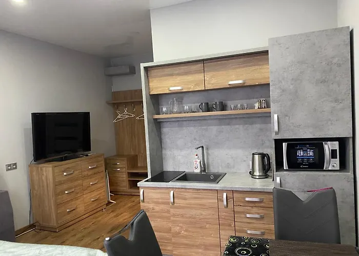 Loft в центрі львова לבוב