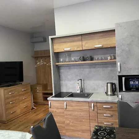 Loft в центрі львова לבוב